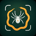 Spider Identifier app icon