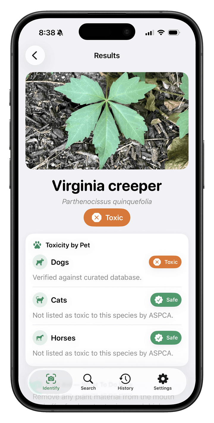 Pet Protect Plan app screenshot